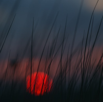 blue red and white light